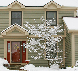 winterhome11