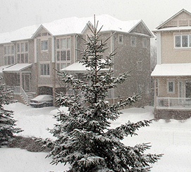 winterhome8